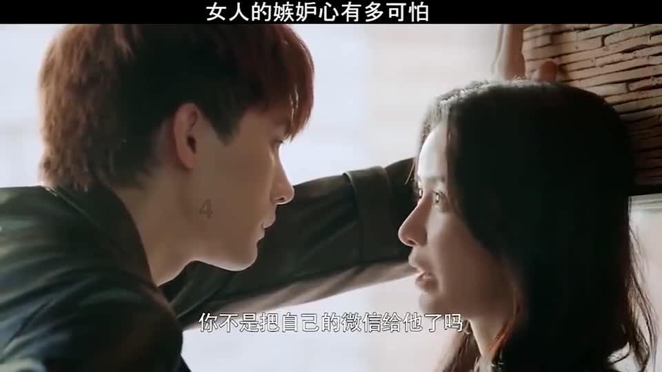 除虫大师