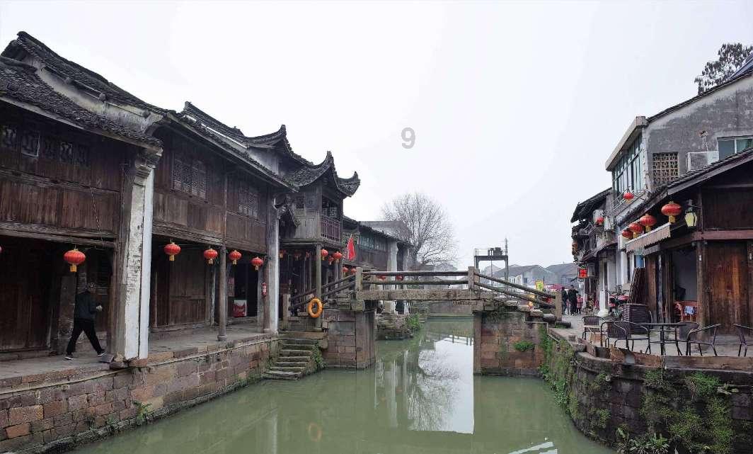 多肉植物 名字游戏画面